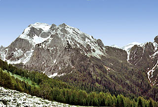 Sui versanti meridionali del Col Ròsol, in vista del M. Tiàrfn